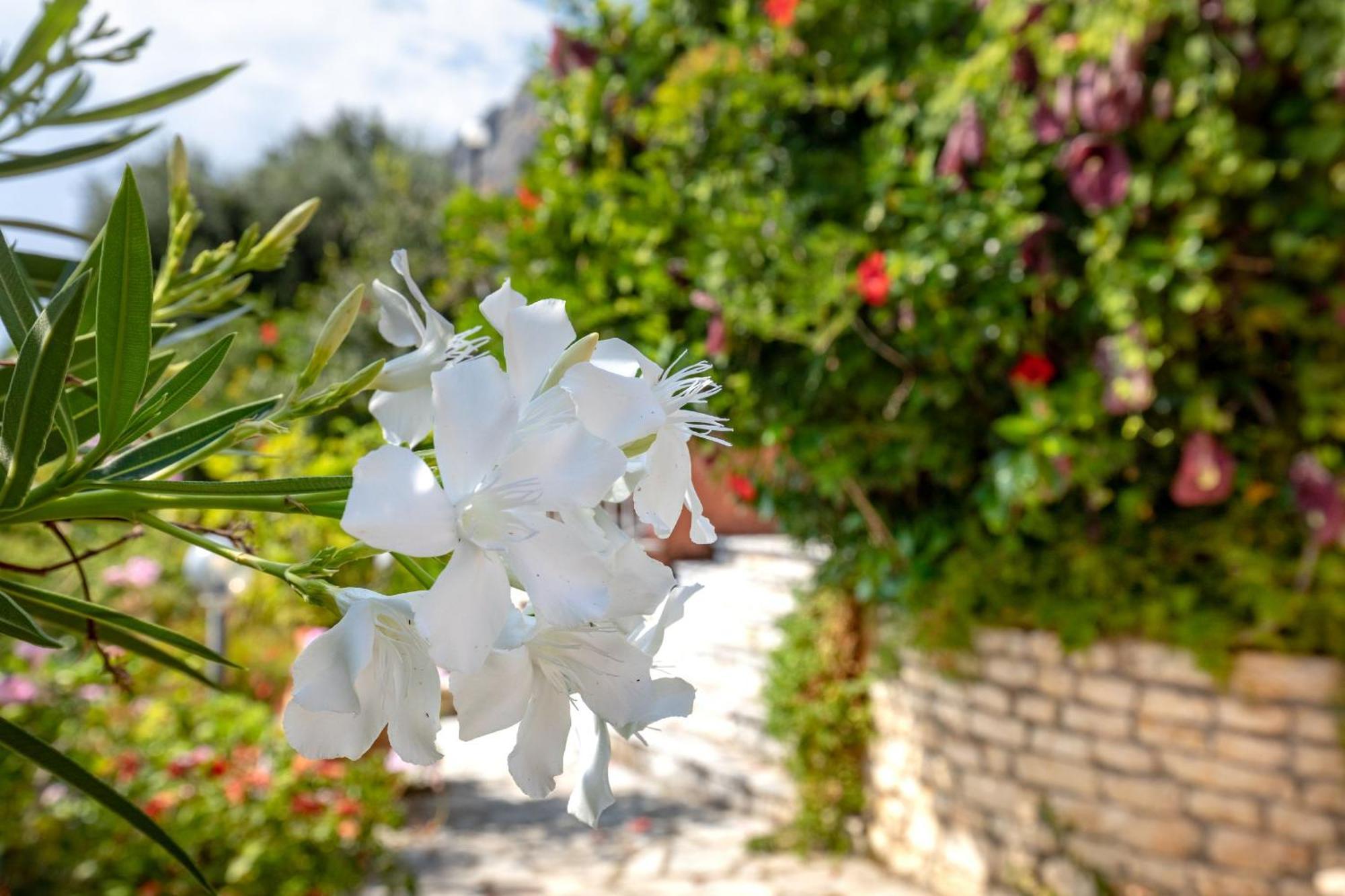 Villa Nafsika ニサキオン エクステリア 写真